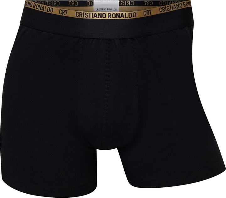 Actual product image CR7 Boxershort Casual Figurbetont (L, pack of 10)