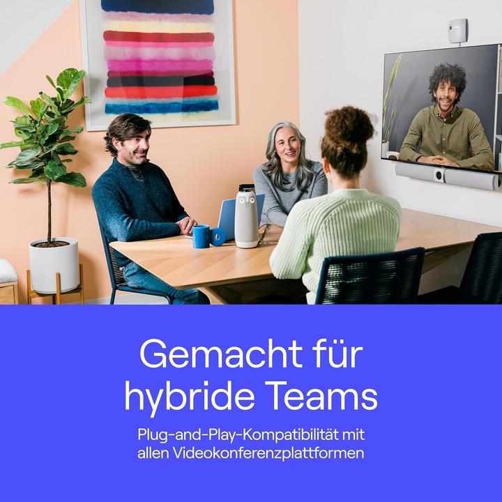 Actual product image OWL Meeting 3