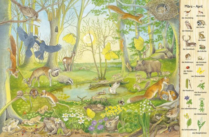 Image du produit Mein erstes Wimmelbuch - Jahreszeiten (Allemand, Christine Henkel, 2017)