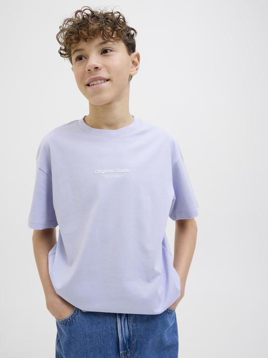 Produktbild Jack & Jones Jorvesterbro Tee Ss Crew Neck Noos Jnr (140)