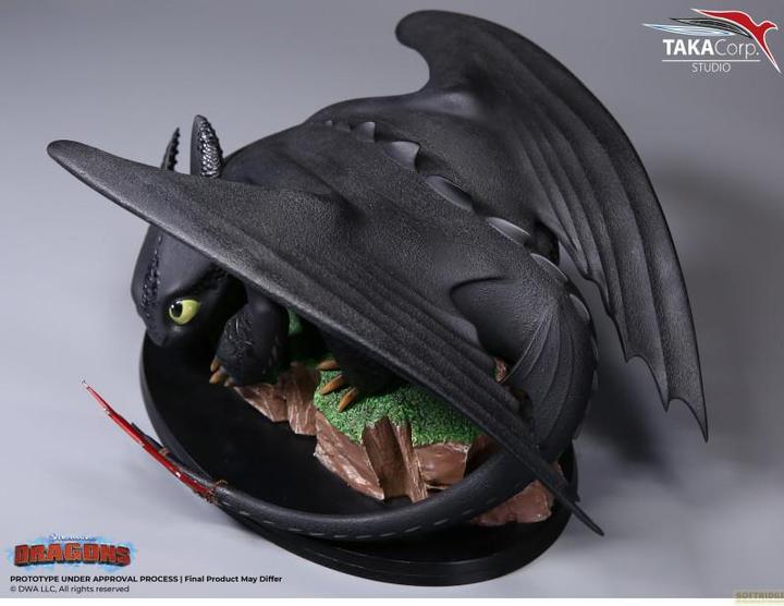 Actual product image Taka Corp Toothless