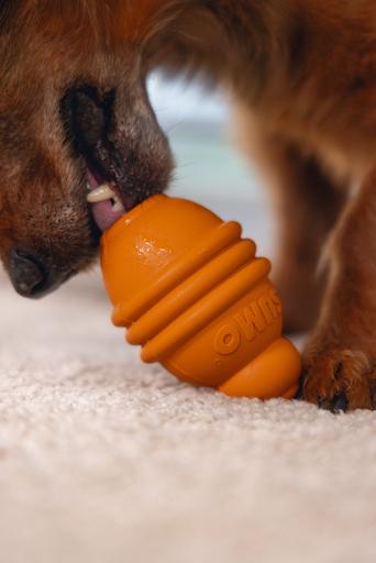 Image du produit Beeztees Sumo Play (Jouet à mâcher pour chien)