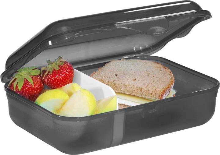 Actual product image Step by Step Dino Life lunch box