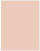 Actual product image Makeup Revolution Conceal & Define (C8)