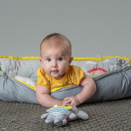 Productafbeelding Taf Toys Koala
