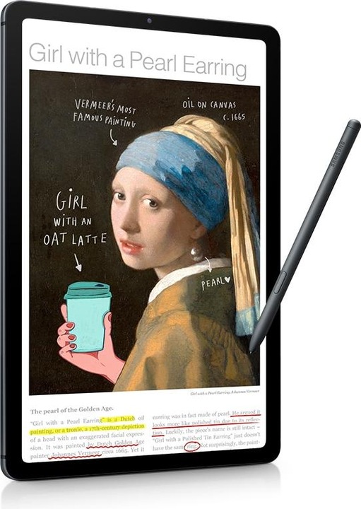 Actual product image Samsung Galaxy Tab S6 Lite (2022) (4G, 10.40", 64 GB, Oxford Gray)