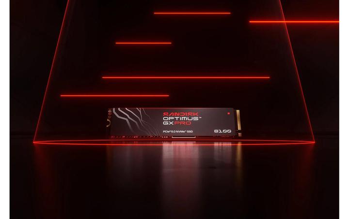 Immagine prodotto SANDISK Optimus GX PRO 8100 (1000 GB, M.2 2280)
