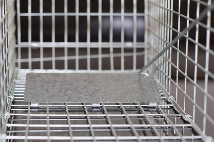 Actual product image Gardigo Marten live trap