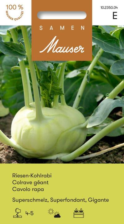 Image du produit Samen Mauser Chou-rave géant super melt (Graines de légumes)
