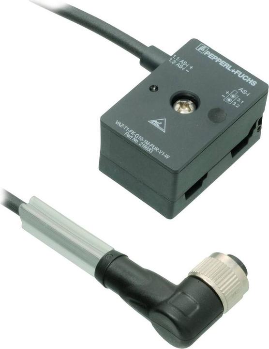 Pepperl & Fuchs AS-Interface