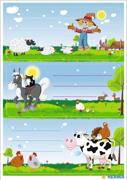 Actual product image HERMA Book labels