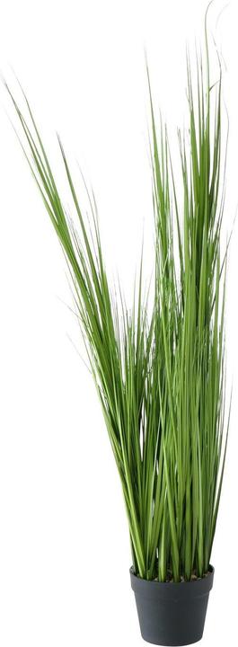 Immagine prodotto Boltze Home Topfpflanze (120 cm)