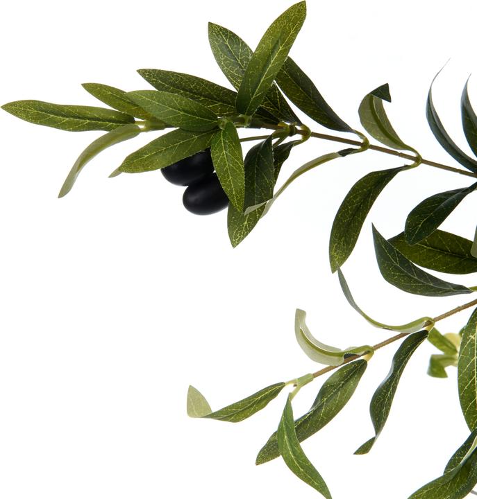 Actual product image Beliani Olive Tree (178 cm)