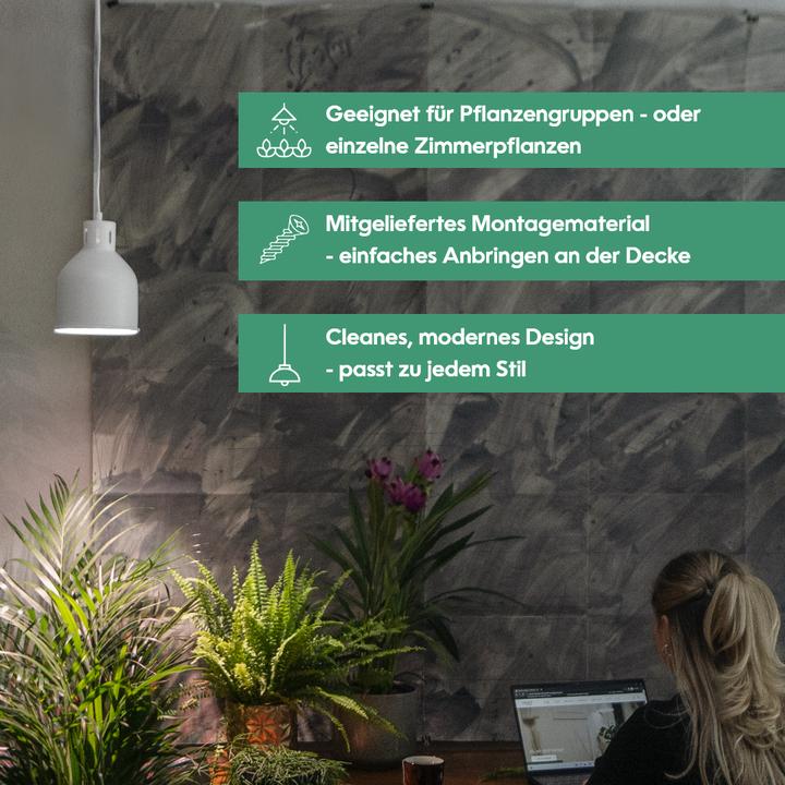 Image du produit Neogard Saga (LED, 230 V)