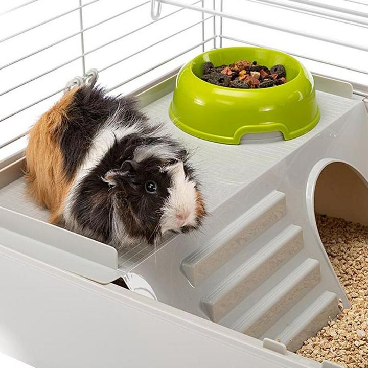 Actual product image Ferplast Cavie 80 - Cage - 77x42 cm
