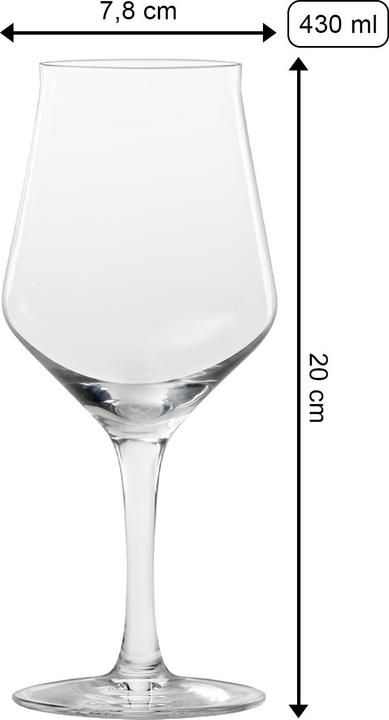 Actual product image Stölzle Craft Beer 400ml h: 200mm (0.30 l, 1 x)
