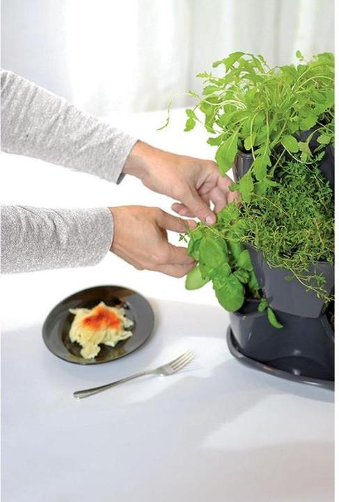 Actual product image Prosperplast Triple Pot for Herbs Coubi Herbal Anthracite