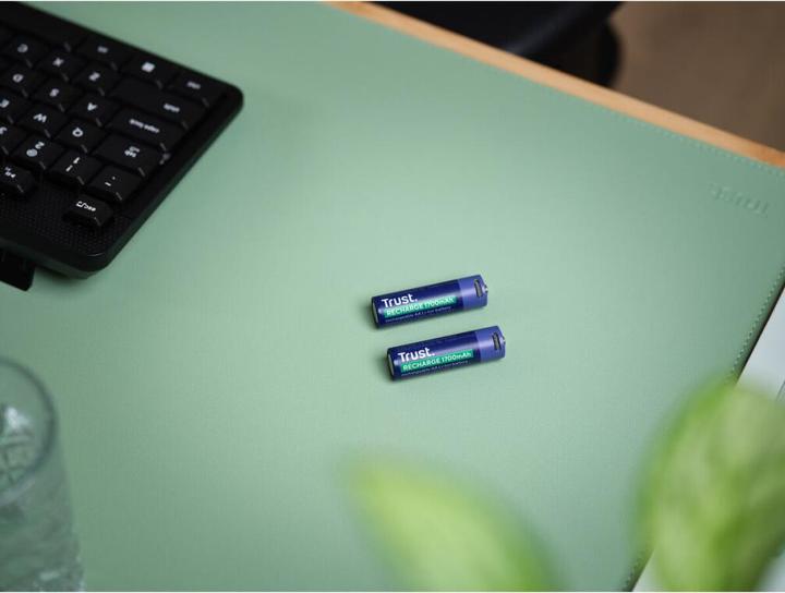 Actual product image Trust USB-C Rechargeable Batteries 2p (2 pcs., AA, 1700 mAh)
