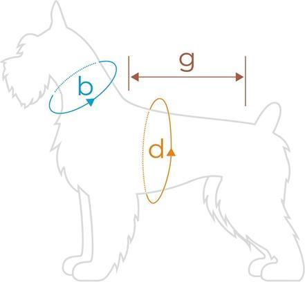 Actual product image amiplay Hoodie Dog Min Schnauzer Texas 40cm Gray (40)