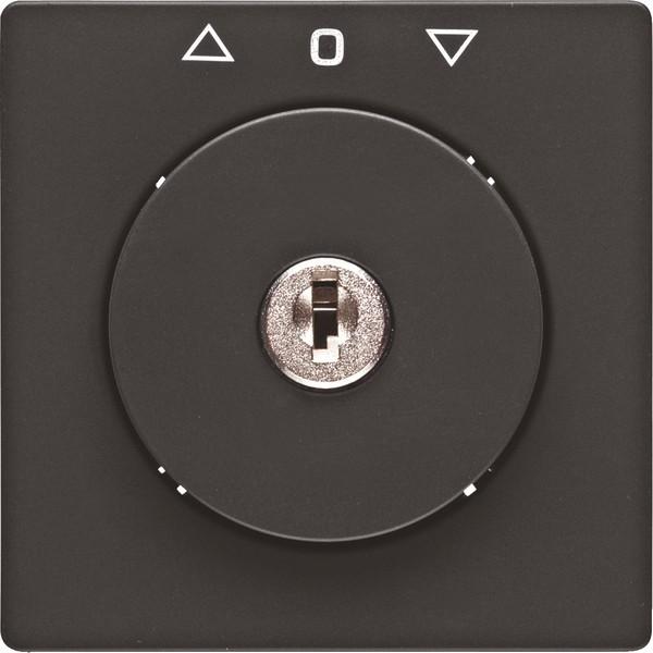 Berker 1081608600, Taster + Schalter, Grau