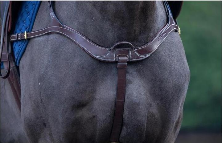 Image du produit Dy'on Collier de chasse anatomique