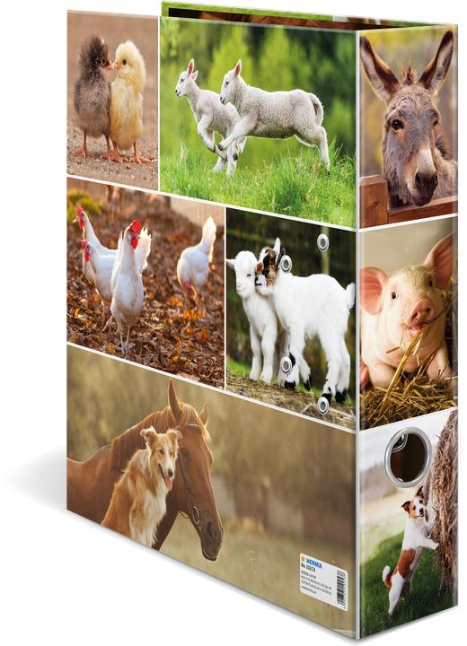 Produktbild HERMA Ordner A4 Motiv (A4, 70 mm, 1 Stück)