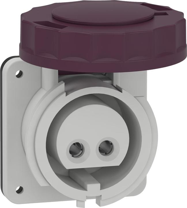 Produktbild Schneider Electric SE 82951 Anbausteckdose Ip67 16A 20-25V 2P