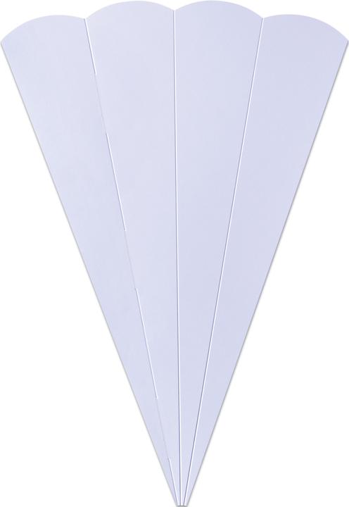 Actual product image Folia School cone blanks