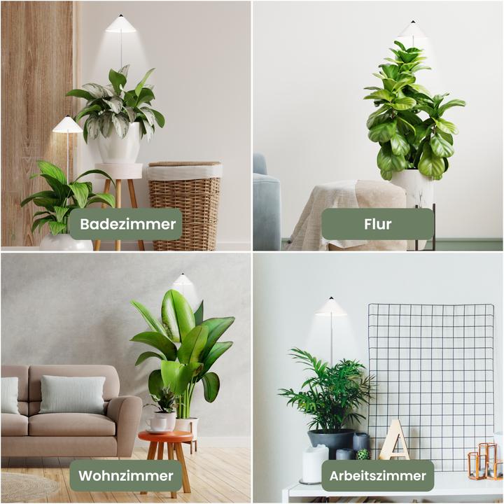 Immagine prodotto Colibri SUNLiTE bianco (LED, 230 V)