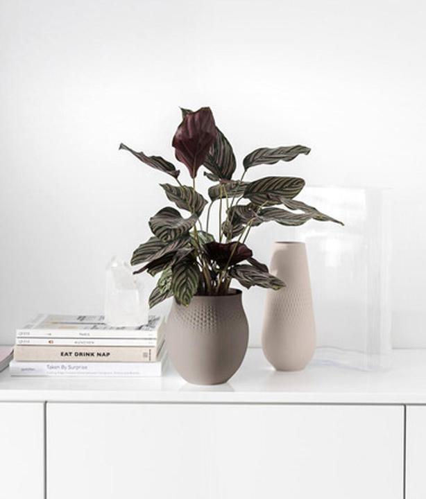 Produktbild Villeroy & Boch Collier (1 x, 16.5 x 16.5 x 18 cm, 2.60 l)