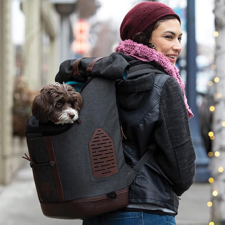 Produktbild Kurgo Hunderucksack K9 Meliert