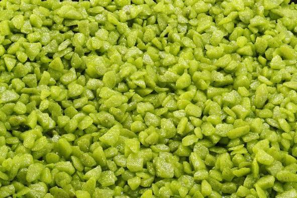 Image du produit Europet Gravier-Déco, Ø 6-9 mm, vert-bambou, 2 kg (autres éléments)