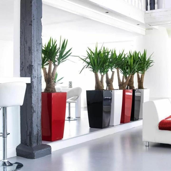 Image du produit Lechuza Cubico (39.50 cm)