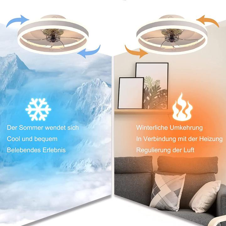 Image du produit Wildcat Ventilateur de plafond avec éclairage