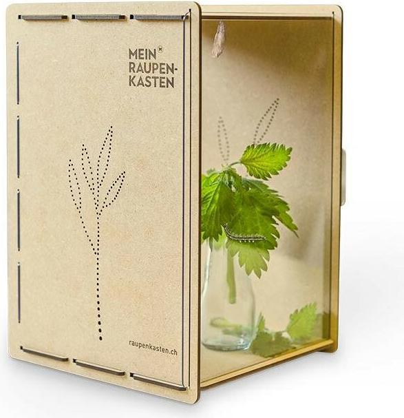 Actual product image Mein Raupenkasten Caterpillar box (Butterflies)