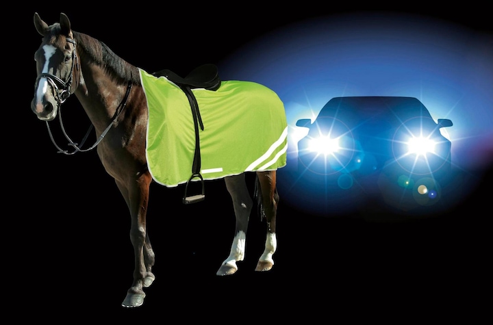 Immagine prodotto Kerbl Coperta di sicurezza