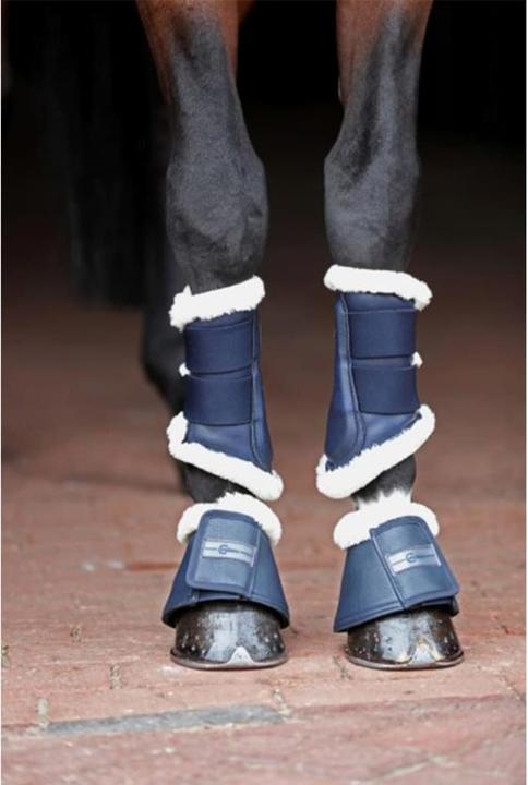 Productafbeelding Covalliero Holly