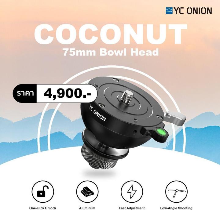 Actual product image Yc onion COCONUT 75mm Bowl Head