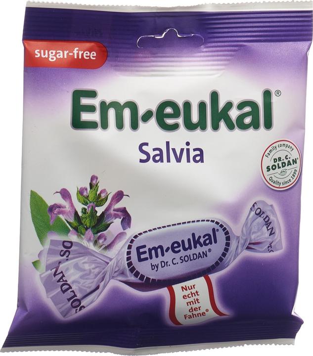 Em-eukal Salvia zuckerfrei (50 g)