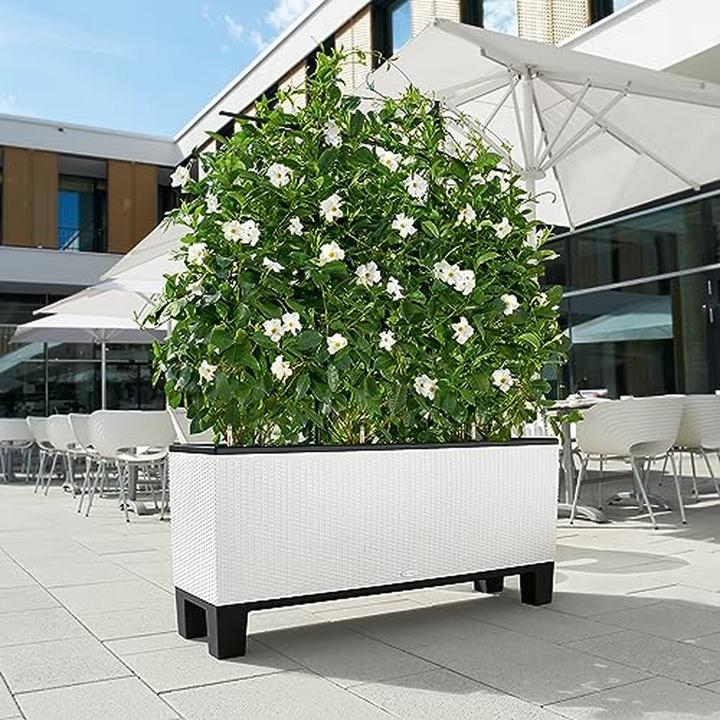 Produktbild Lechuza Trio Cottage (32 cm)