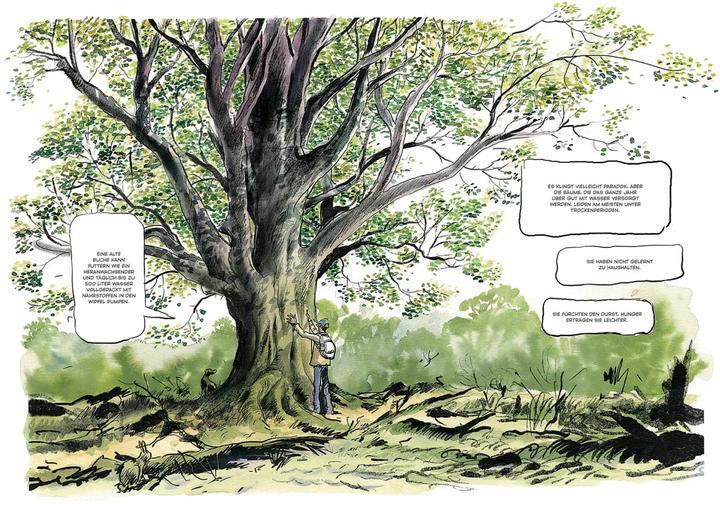 Actual product image Das geheime Leben der Bäume (German, Peter Wohlleben, 2023)