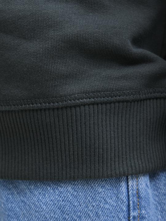 Produktbild Jack & Jones Jornorrebro Emb Sweat Crew Noos Jnr (128)