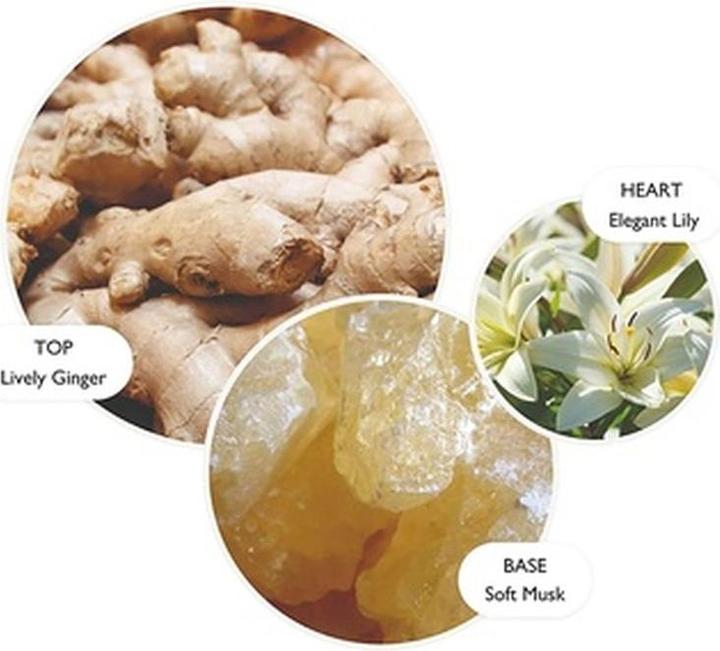 Image du produit Molton Brown Gingerlily HW (Savon liquide, 300 ml)