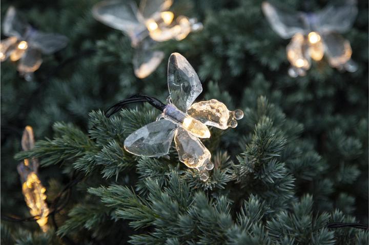 Immagine prodotto Star Trading Papillon (0.18 m)