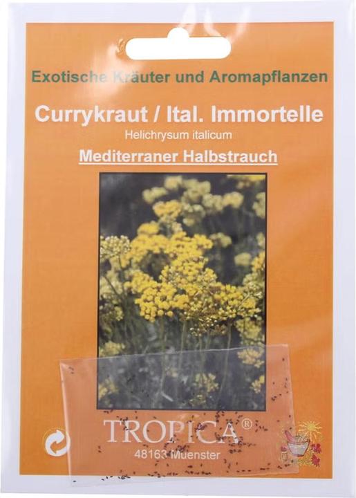 Produktbild Tropica Currykraut Helichrysum italicum (Kräutersamen)