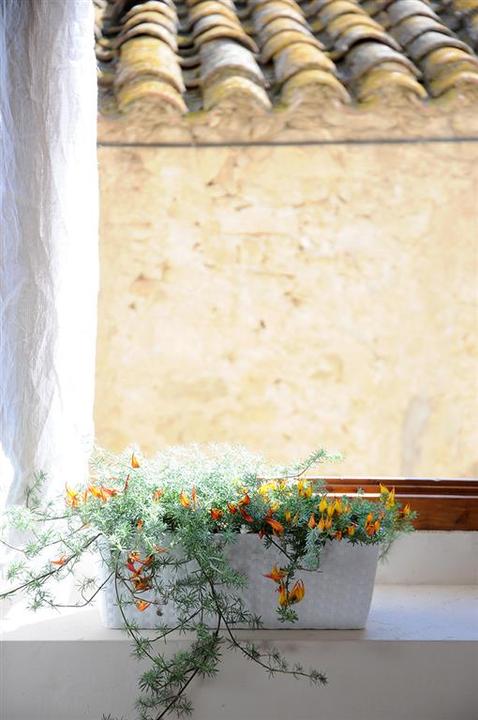 Actual product image Herstera Balconetta Natural