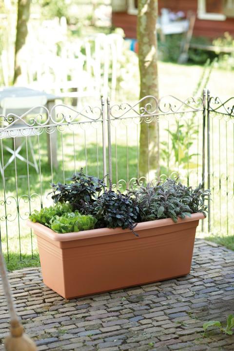 Immagine prodotto Elho Giardino Green Basics Xxl (77 x 39 x 34.50 cm)