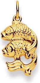 Image du produit Natsumi Schmuck Pendentif Signe du zodiaque Poisson en or jaune 18K/750 grand (750/18 K Or jaune)