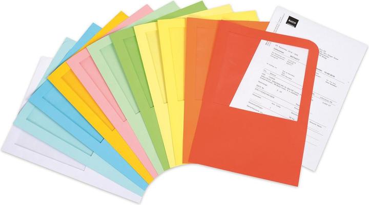 Image du produit Elco Poches de transport Ordo (A4, 100x)