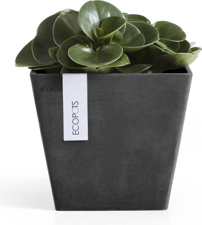Produktbild Ecopots Rotterdam (20 cm)